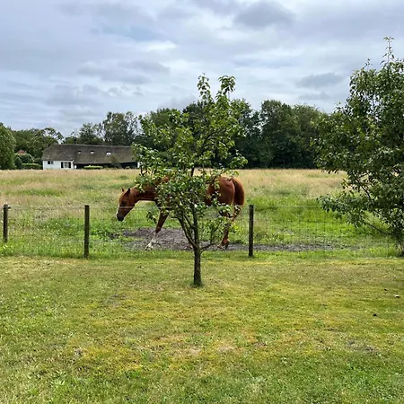 Holiday park Broeders De Moer