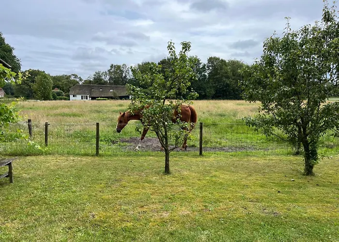 Broeders Parco vacanze De Moer